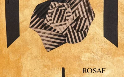 ROSAE, ROSARUM, ROSIS by ANNA PENNATI