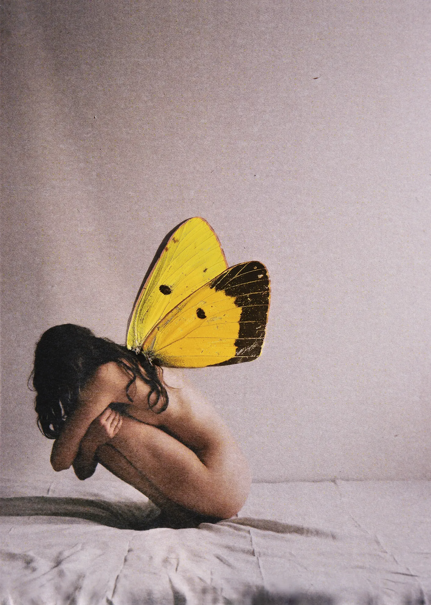 0_BUTTERFLY_ copia