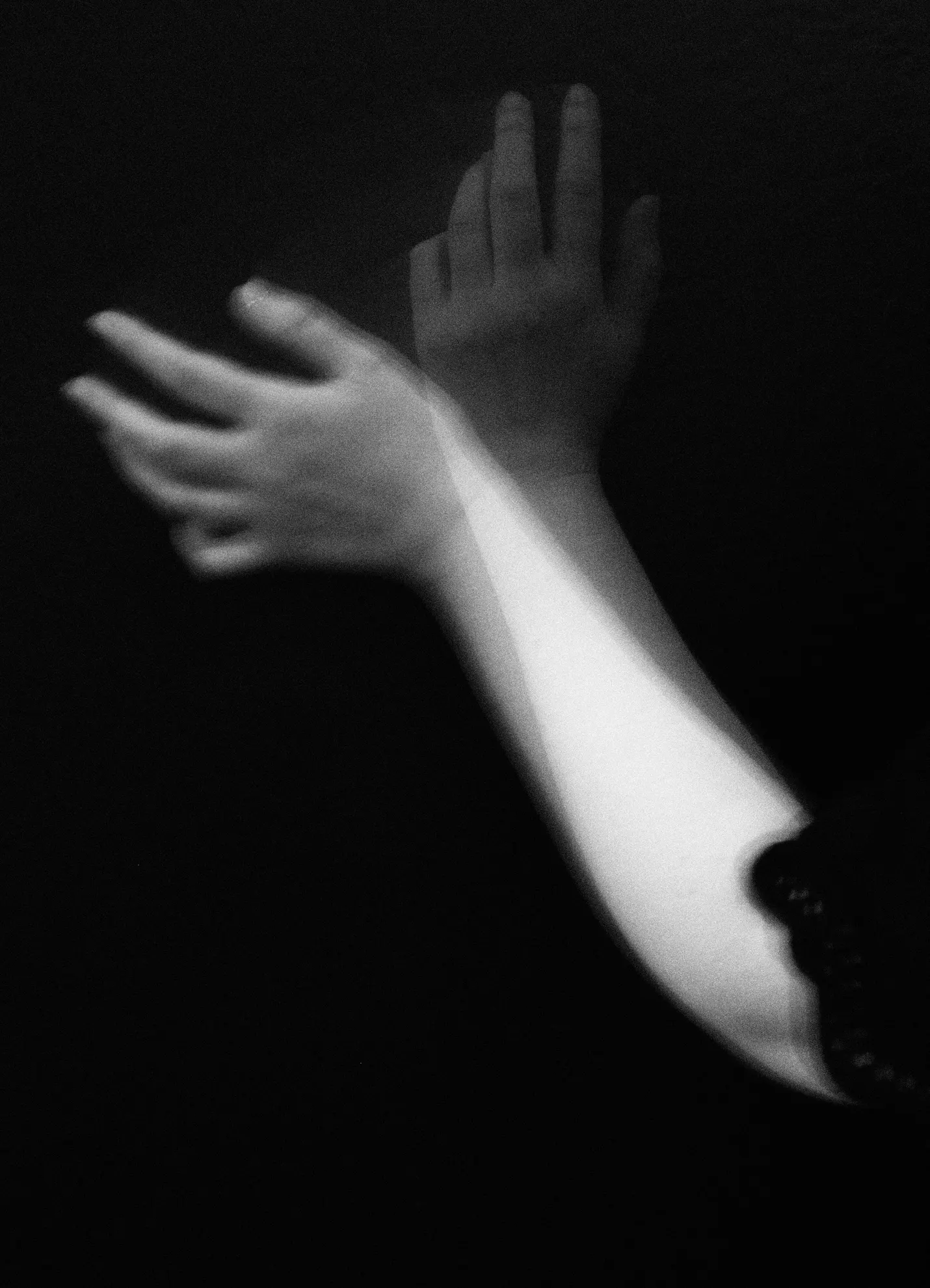 P5211041 copia032